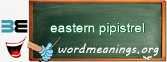 WordMeaning blackboard for eastern pipistrel